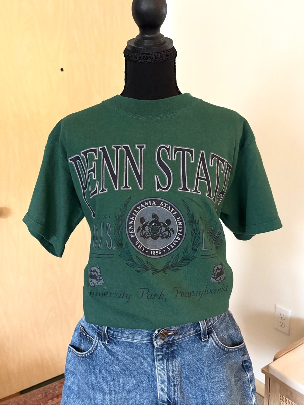 Vintage Galt Sand Penn State University Green Graphic Tee
